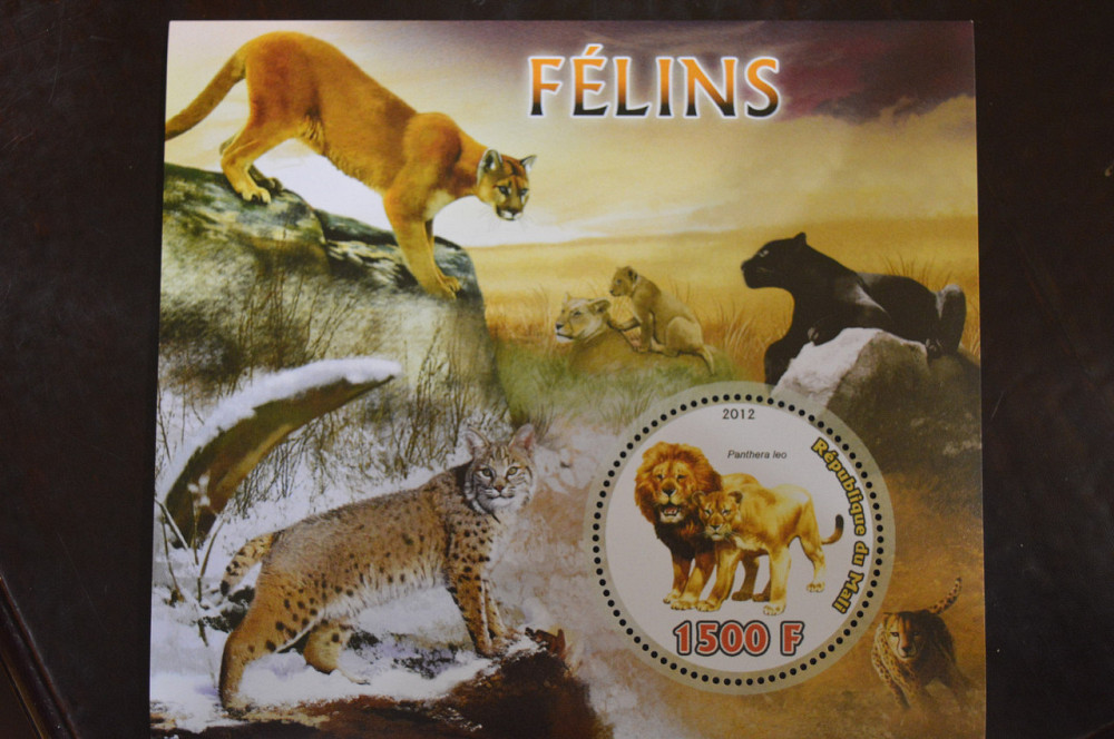 Мали. Марки. Фауна. Блок. 2015 год (В-3) Полтава - изображение 1