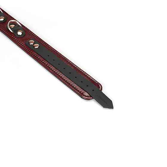 Шкіряний нашийник з повідцем Liebe Seele Wine Red Collar and Leash, 3 кільця для кріплення Sex Aura Київ