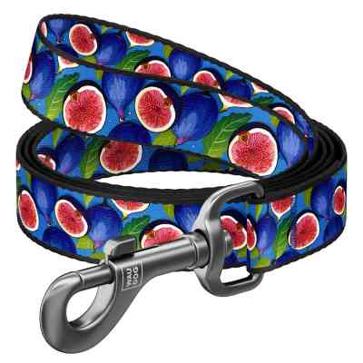 Повідець для собак WAUDOG Nylon "Інжир" S Ш 15 мм Д 300 см (760-4053) Вінниця