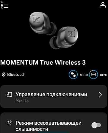 Навушники Sennheiser Momentum True Wireless 3 silver Київ