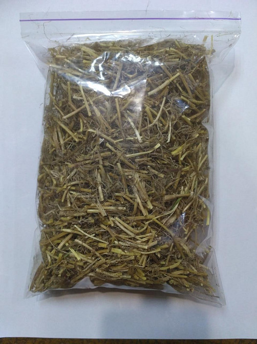 Пирій повзучий (корінь) (Корень пырея)100г master sem Киев - изображение 3