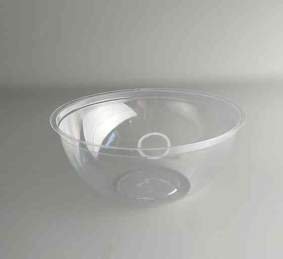 Упаковка блістерна контейнер SL510P (V550 мл) (50 шт.) Харків