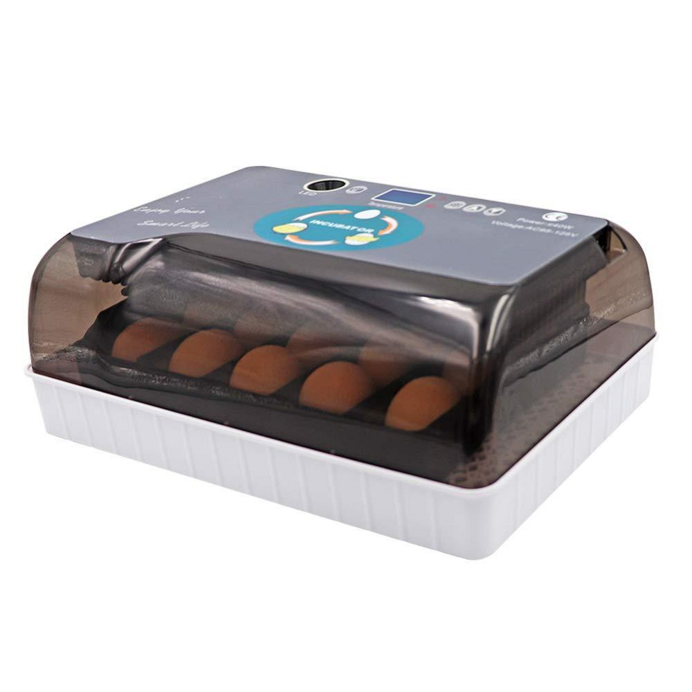 Автоматический инкубатор на 12 яиц с овоскопом Киев - изображение 1