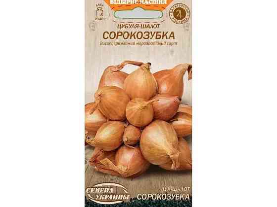 Цибуля-шалот СОРОКОЗУБКА ОВ 0,25 г (20 пачок) ТМ СЕМЕНА УКРАЇНИ Київ