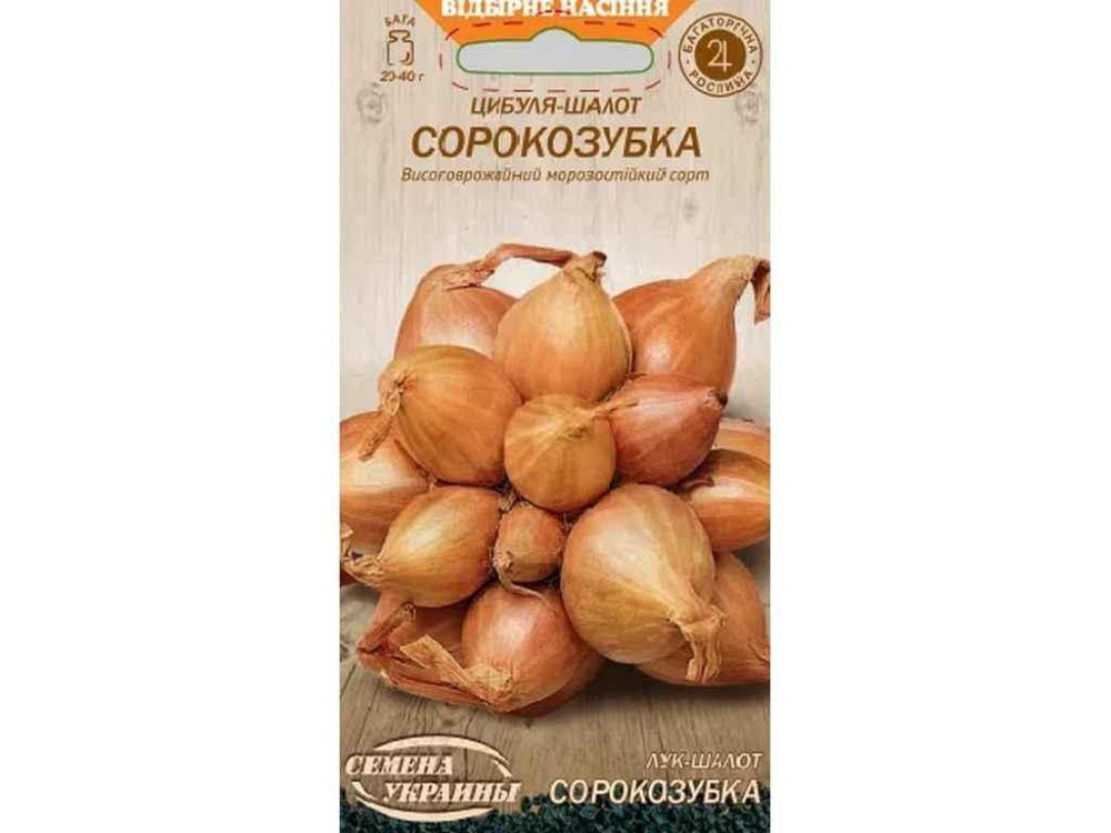 Цибуля-шалот СОРОКОЗУБКА ОВ 0,25 г (20 пачок) ТМ СЕМЕНА УКРАЇНИ Київ - фото 1