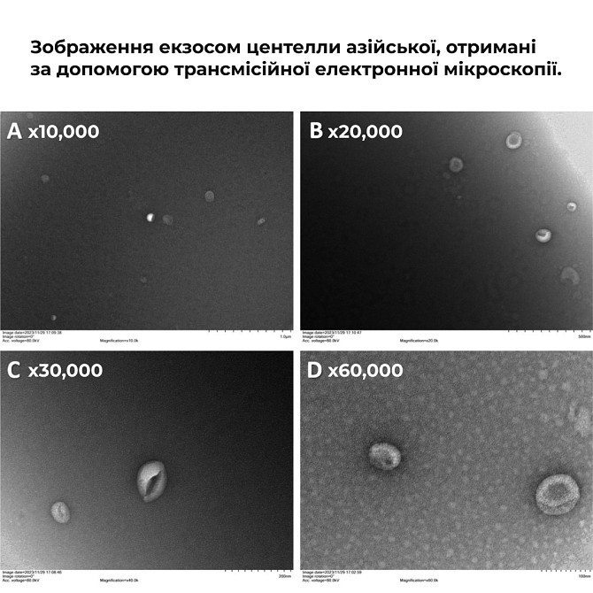 Комплекс моделюючого догляду з екзосомами та пептидами ReNuAge Sculpting Care Complex with Exosomes and Peptides Hillary Вінниця - фото 8