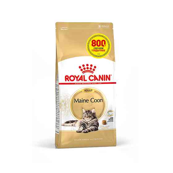 Корм для дорослих котів ROYAL CANIN MAINECOON ADULT 3.2 кг + 800 г у подарунок Киев
