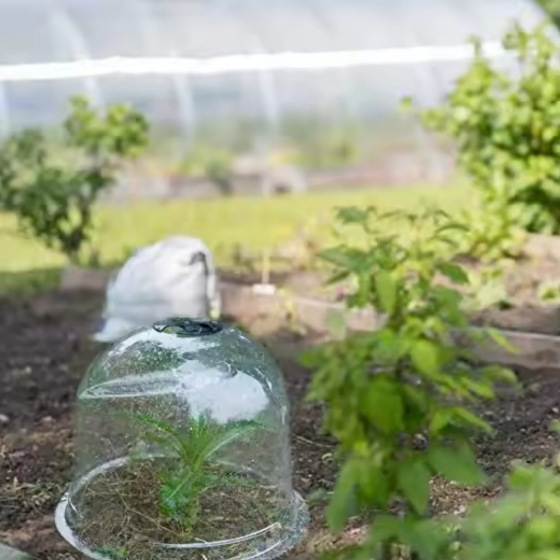 Набор колпаков 2 шт ,садовые пластиковые для сада и огорода защитные для рассады и цветов размер 26х20 см Каменец-Подольский