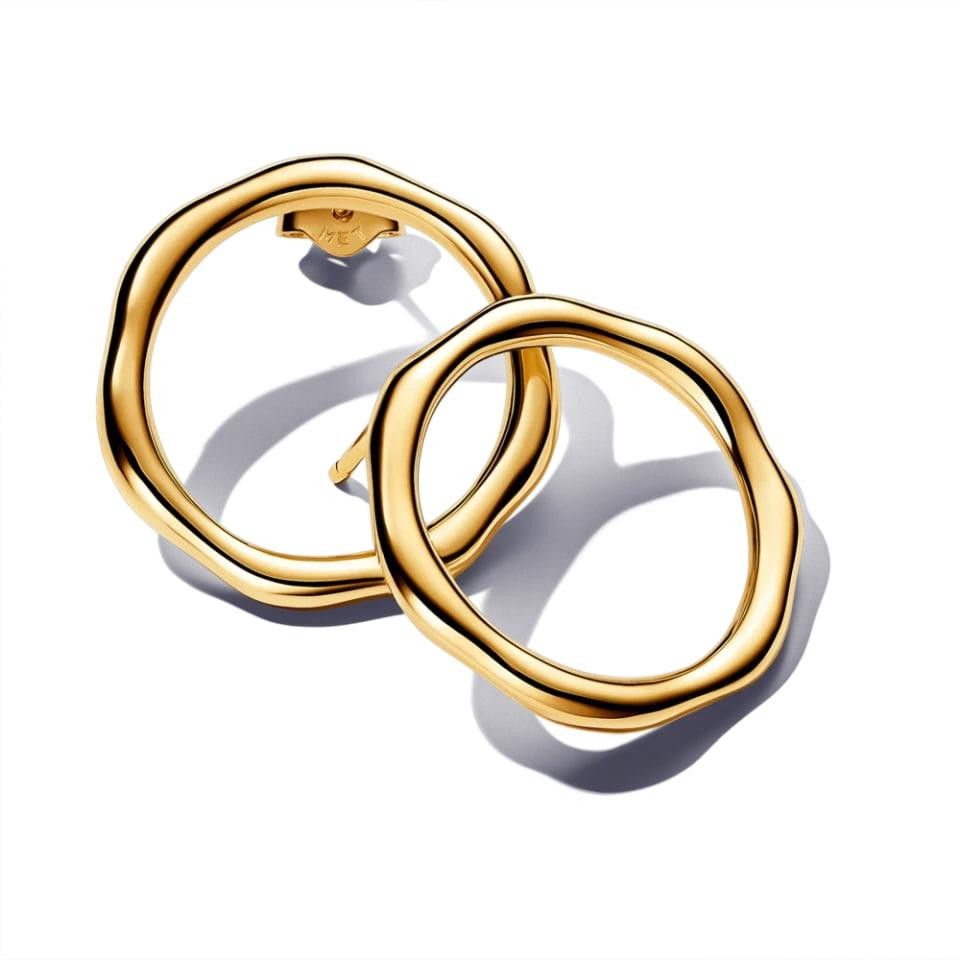 Сережки Pandora  "Природне коло" 263265C00 MasterSem Київ - фото 1