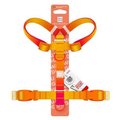 Шлея для собак WAUDOG Nylon Recycled анатомічна H-подібна з QR-паспортом, пластиковий фастекс, М помаранчева (47524) Вінниця