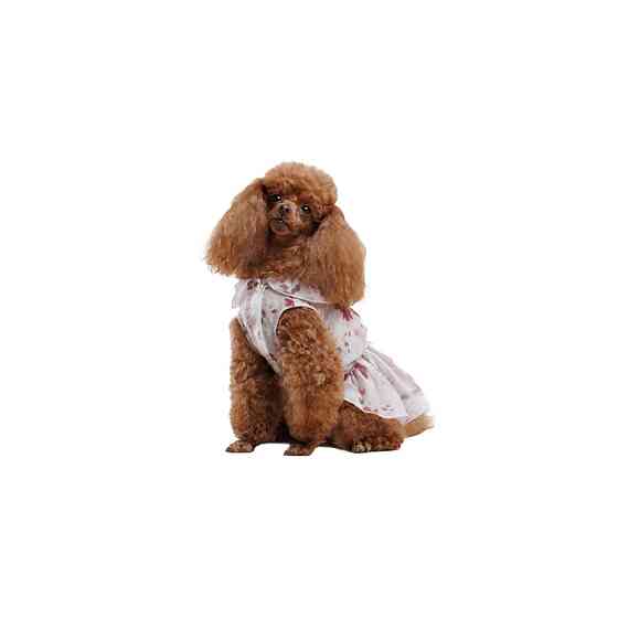 Плаття Pet Fashion Amelia для собак S Київ