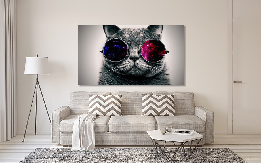 Картина холст в гостиную / спальню  Кіт в окулярах   MLP_297 80x120 см Киев - изображение 2