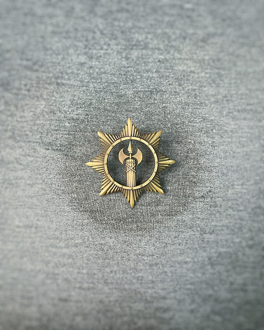 Беретний знак ВСП латунь Киев - изображение 2