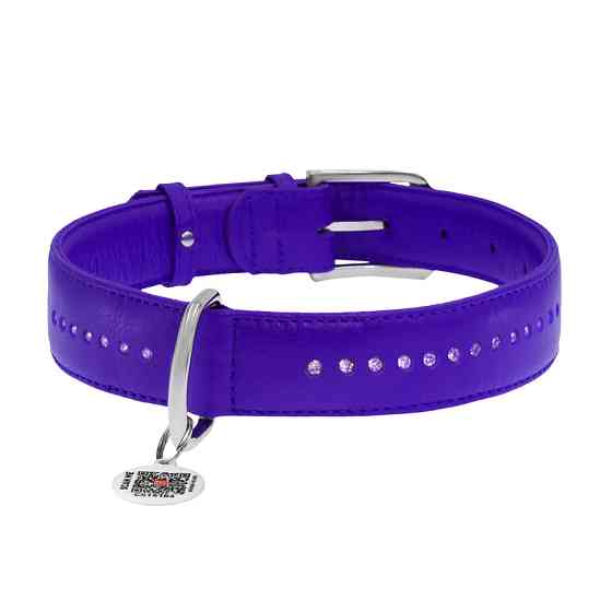 Нашийник для собак шкіряний WAUDOG Glamour з QR паспортом, подвійний зі стразами, XL, Ш 35 мм, Коломия
