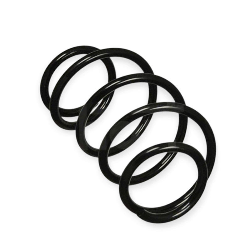 Пружина Nissan Qashqai 1.51.6, 2.0i, D (07-13) () передняя Мукачево - изображение 1