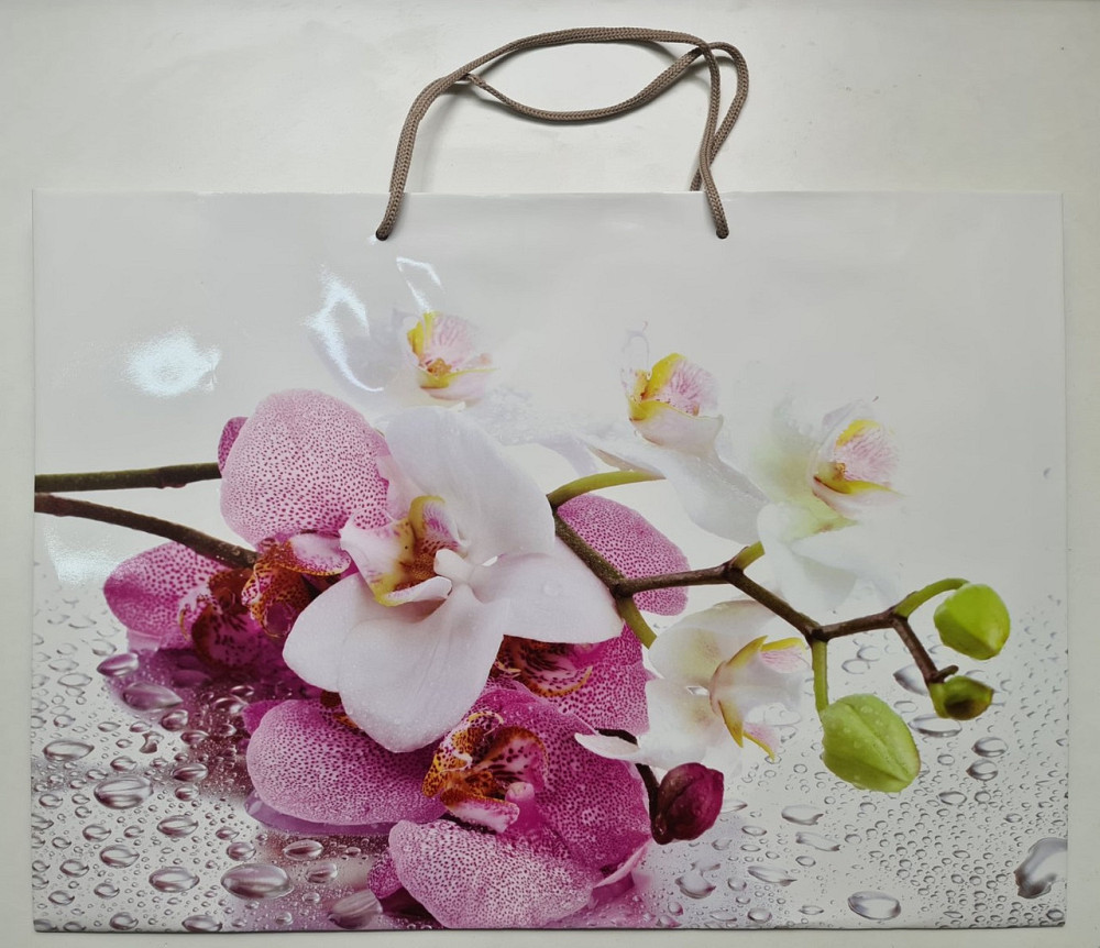 Гиганты горизонтальные 46*33*15 (артGG-009) (12 шт) Харків - фото 2