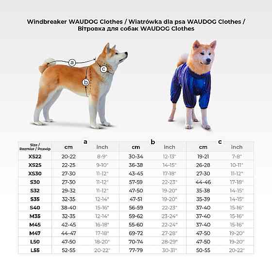 Ветровка для собак WAUDOG Clothes, рисунок 