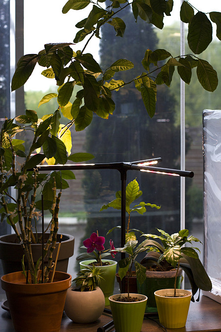 Фітолампа для рослин, квітів, орхідей, розсади - фітосвітильник повного спектру "Romario" Борисполь - изображение 8