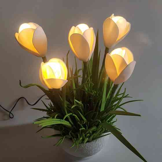 Світильник-нічник_Білі крокуси Дніпро