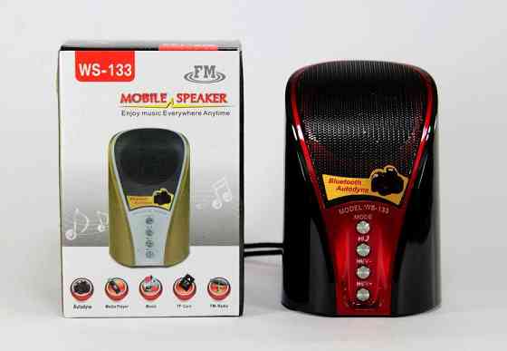 Портативная MP3 Колонка SPS WS 133 BT с поддержкой Bluetooth. Полтава