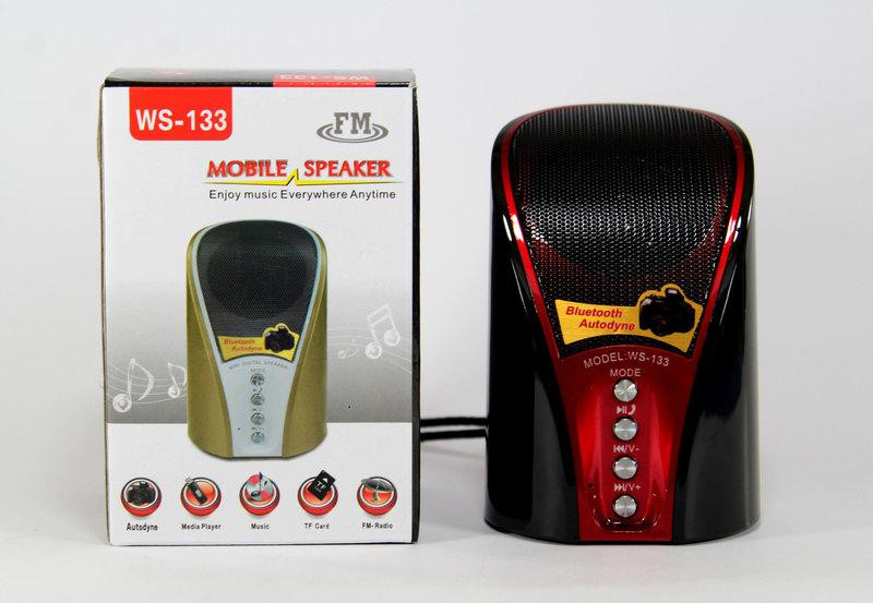 Портативная MP3 Колонка SPS WS 133 BT с поддержкой Bluetooth. Полтава - изображение 1