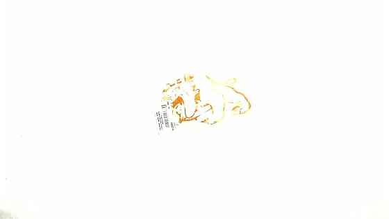 Наклейка декор DOG (12x9см, червона, ліва) (#HQ007RL) Мукачево