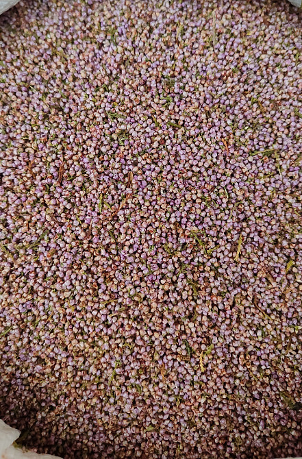 Вереск цвет, 500г. MasterSEM Киев - изображение 1