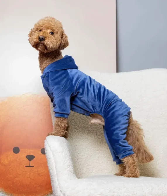 Костюм для собак велюровий Dogs Bomba з капюшоном трикотаж весна-осінь для середніх порід Кураж Синій 9 Одеса - фото 1