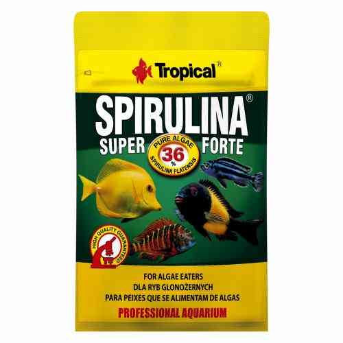 Корм Tropical Super Spirulina Forte для аквариумных травоядных рыб хлопья 12 г Киев