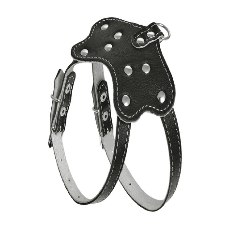 012 КОМПЛЕКТ "ПЕРЛАМУТР":шлейка "802" +Повідець"788" Вінниця - фото 2