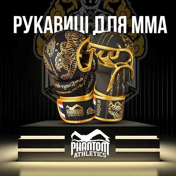 Рукавиці для ММА Phantom Muay Thai Black Gold L/XL (капа у подарунок) Кам'янське