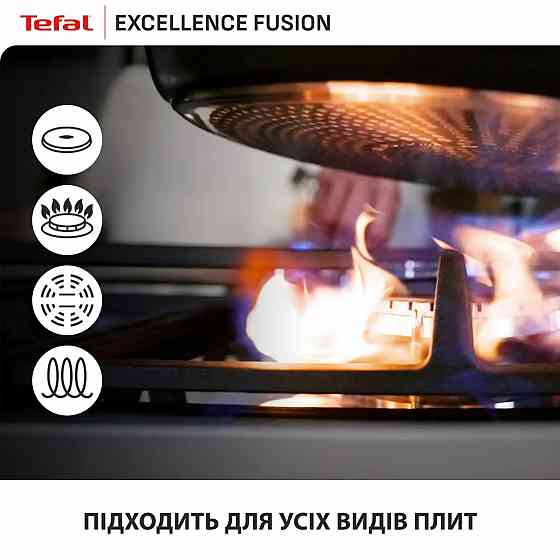 Сковорода Tefal Excellence Fusion 25 см (G3383802) ( 25575 ) Харків