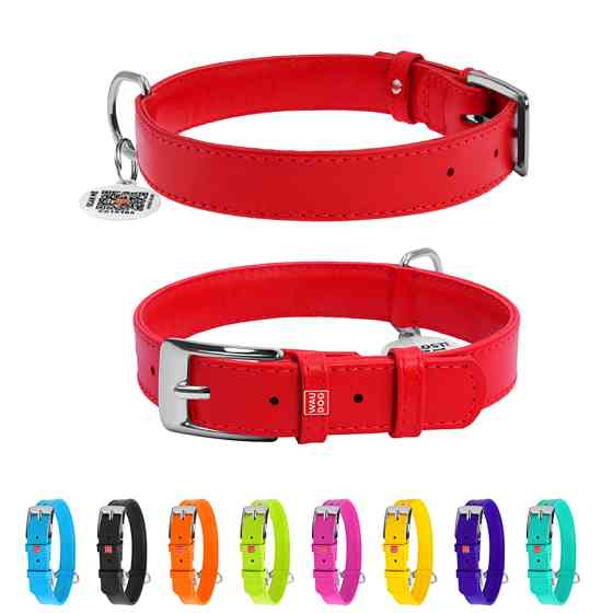 Нашийник для собак шкіряний WAUDOG Glamour з QR паспортом, без прикрас, L, Ш 25 мм, Дов 38-49 с Коломыя