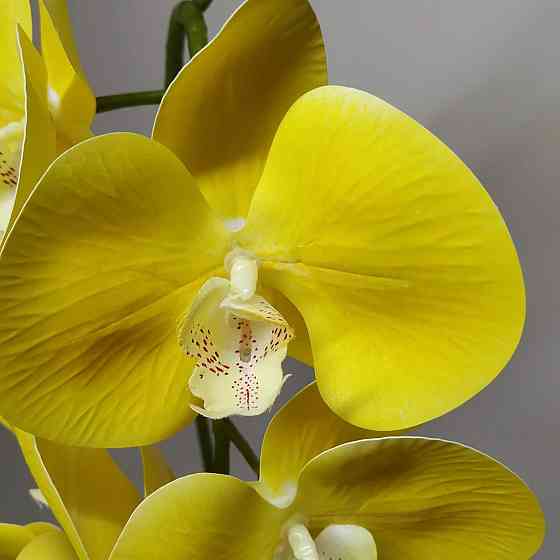 Штучна латексна орхідея VIP у жовтому керамічному кашпо на одну гілку жовта Дніпро