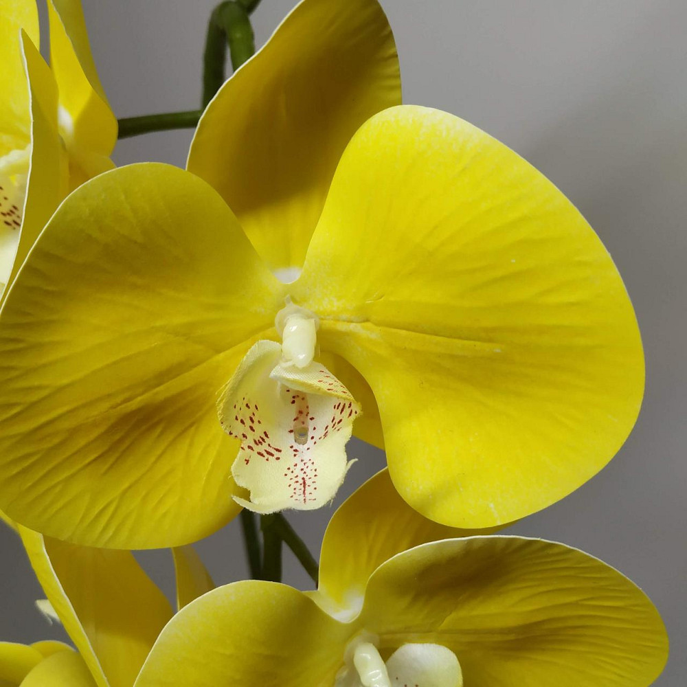 Штучна латексна орхідея VIP у жовтому керамічному кашпо на одну гілку жовта Дніпро - фото 3