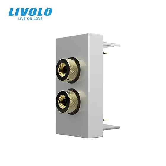 LIVOLO Аудіо розетка LIVOLO Banana Plug, сіра, для колонок / підсилювача, модуль 0.5 поста(VL-F Коломия