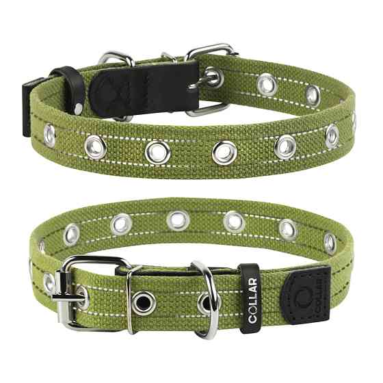 Нашийник для собак бавовняна тасьма CoLLaR Брезент безрозмірний (ширина 25 мм, довжина 53 см) Коломыя