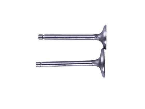 Клапани (пара, голі) мотоблок 173D Мукачево