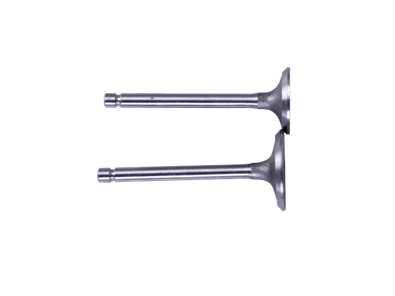 Клапани (пара, голі) мотоблок 173D Мукачево - фото 1