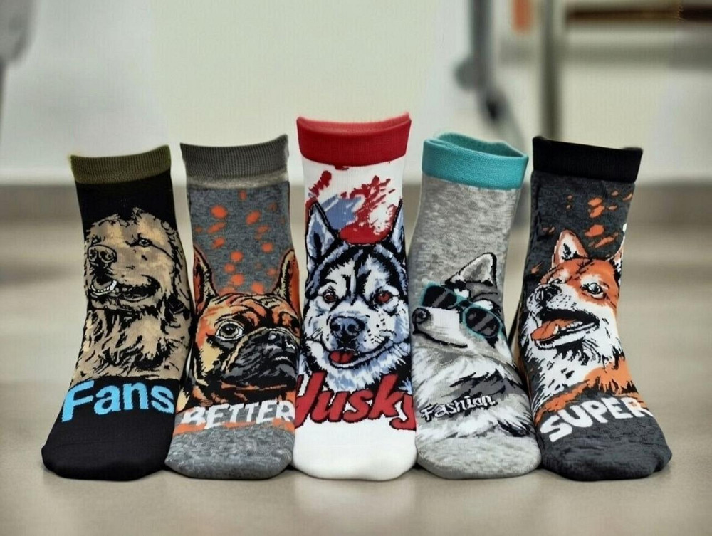 Носки в наборе из 5шт. Яркие мужские носки с приколами. Coalo socks. Размер 36-41 Киев - изображение 3