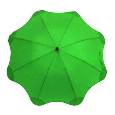 Зонт Line Art Blantier Зеленый (45400-9) Винница
