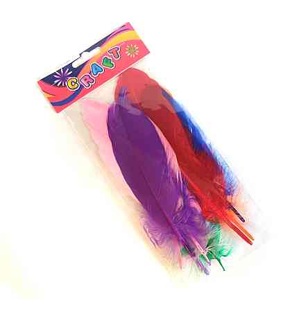 Пір'я декоративне для творчості Київ