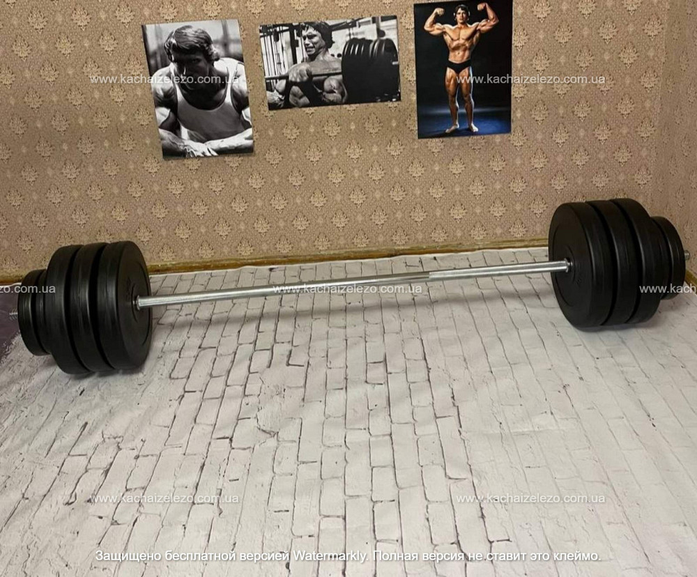 Штанга наборная на 90 кг Гантели, гири, штанги и диски в ударостойком пластике Киев - изображение 6