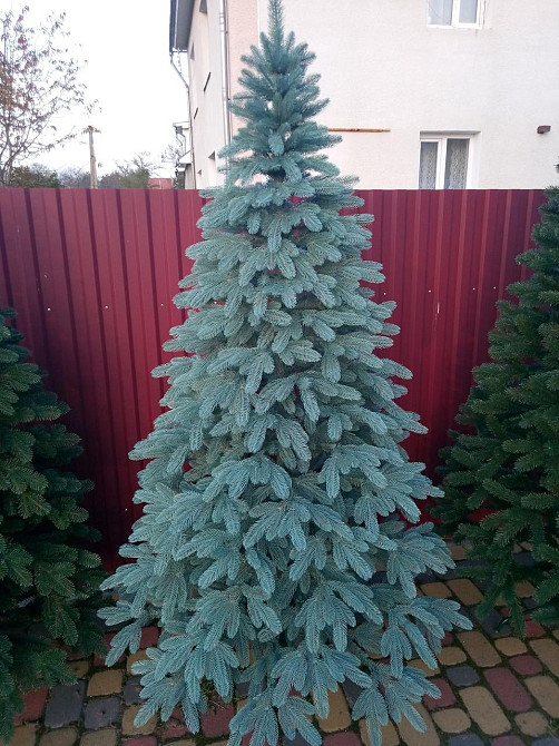 Елка искусственная новогодняя «Литая Премиум» голубая 1.5 / 1.8 / 2.1 / 2.3 / 2.5 м 2.3 Киев - изображение 1