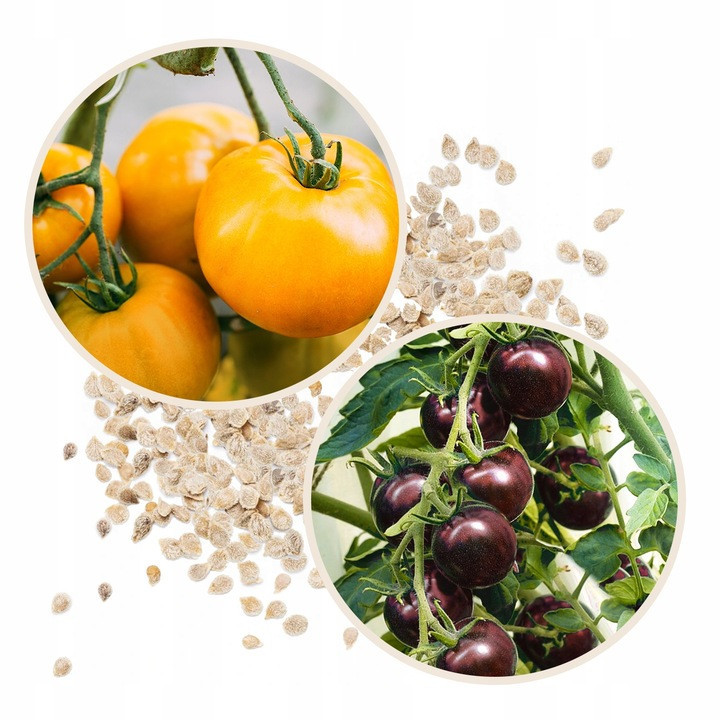 Теплиця, парник 10 м² (400 x 250 х 200см) Garden Rosa Польща Київ - фото 3