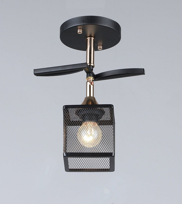 SIRIUS Стельовий світильник B N5708/1 BK+FGD Коломыя - изображение 1