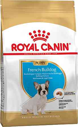 Корм для щенков породы Французский бульдог ROYAL CANIN FRENCH BULLDOG PUPPY 1.0 кг Киев