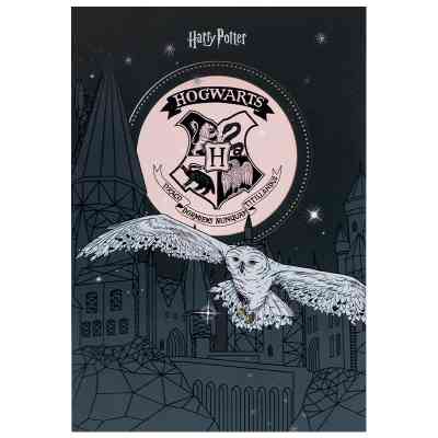 Блокнот Kite Harry Potter A5, 50 аркушів, клітинка (HP25-194-1) Вінниця