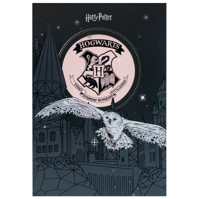 Блокнот Kite Harry Potter A5, 50 аркушів, клітинка (HP25-194-1) Вінниця - фото 1