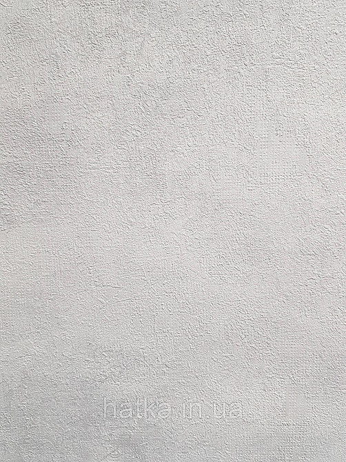 Шпалери вінілові на флізеліні A.S.Creation Sylvana 1.06x10 під штукатурку під бетон сірий 79139-4 Київ - фото 3